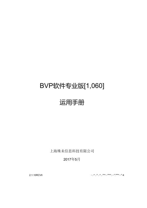 BVP软件介绍和使用说明.docx