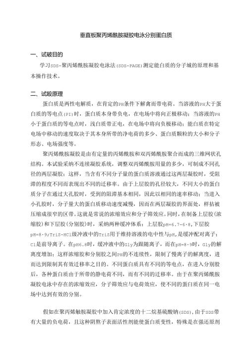 SDSPAGE电泳实验步骤.docx