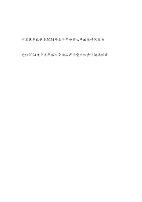 2024年上半年全面从严治党情况报告和党组2024年上半年落实全面从严治党主体责任情况报告.docx