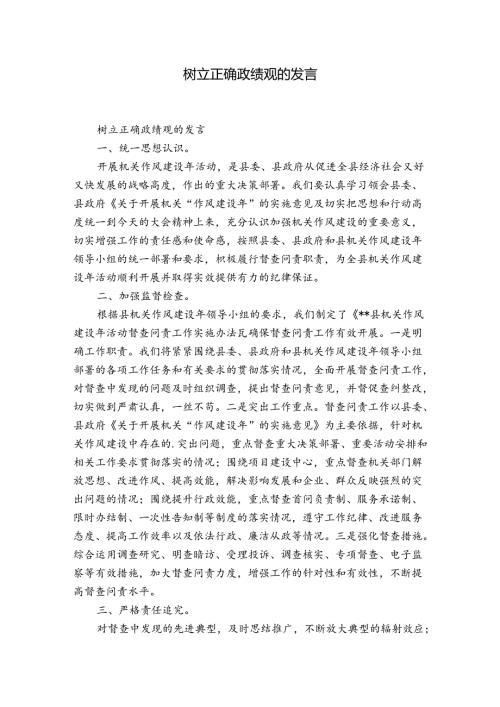 树立正确政绩观的发言.docx