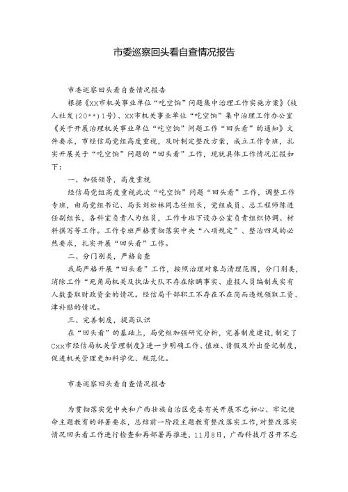 市委巡察回头看自查情况报告.docx