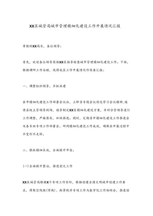 XX区城管局城市管理精细化建设工作开展情况汇报.docx
