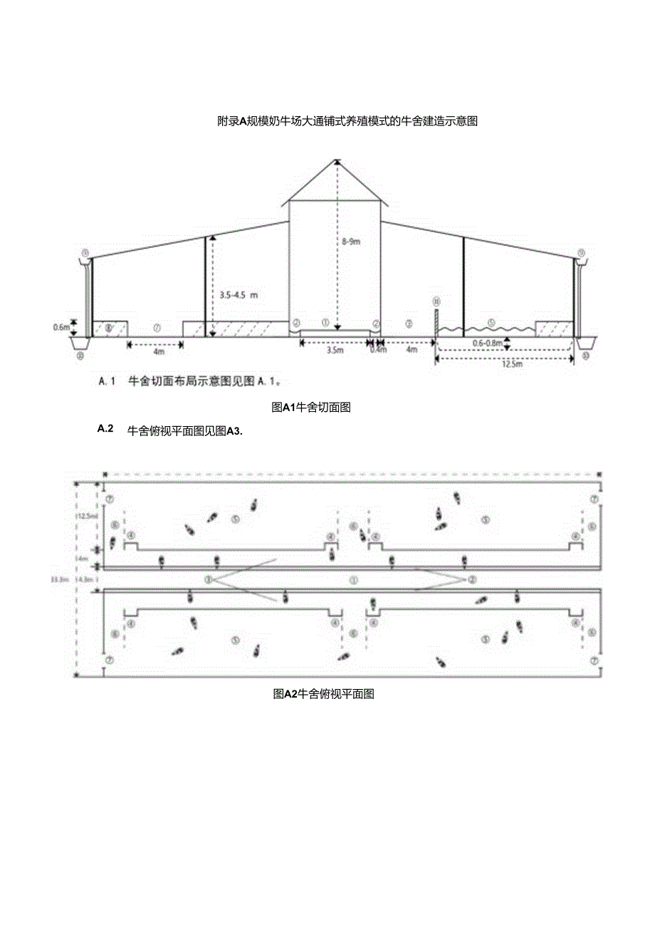 规模奶牛场大通铺式养殖模式的牛舍建造示意图.docx_第1页