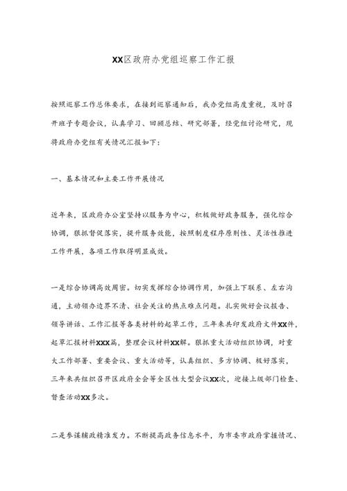XX区政府办党组巡察工作汇报.docx