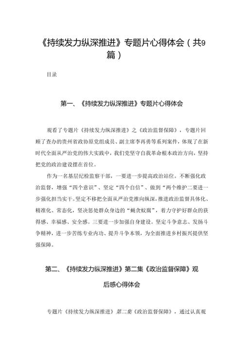 （9篇）《持续发力纵深推进》专题片心得体会汇编.docx