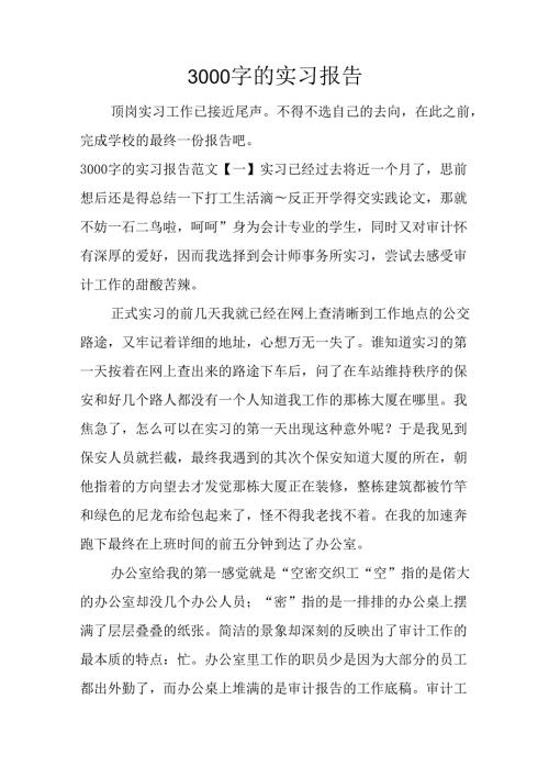 3000字的实习报告.docx
