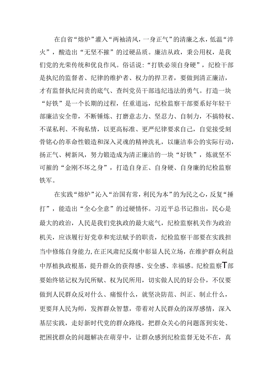 党纪学习教育搞清楚党的纪律规矩是什么弄明白能干什么、不能干什么专题研讨发言材料共12篇.docx_第3页