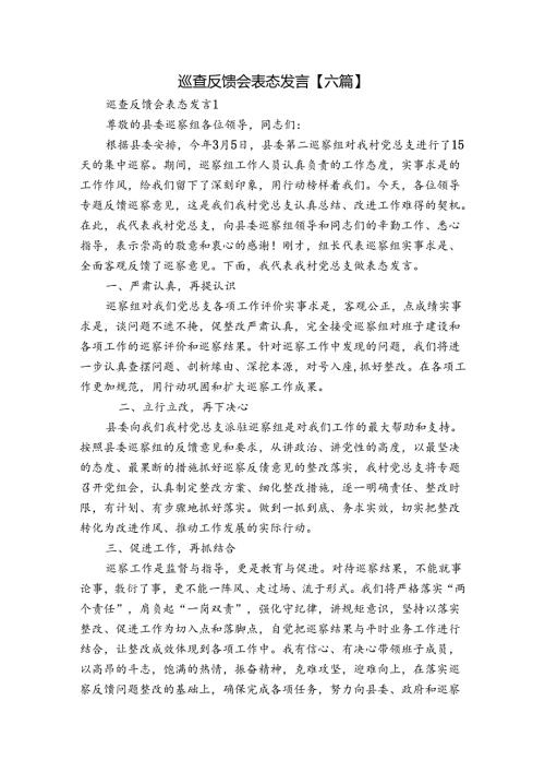 巡查反馈会表态发言【六篇】.docx