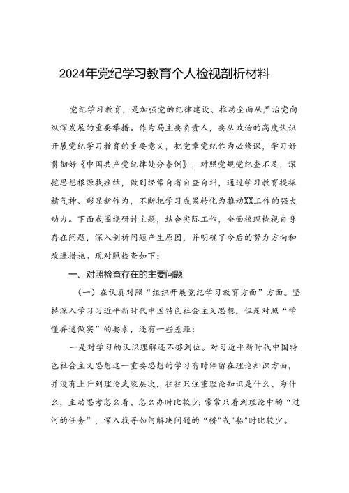 2024年党纪学习教育检视问题对照检查发言材料(十四篇).docx