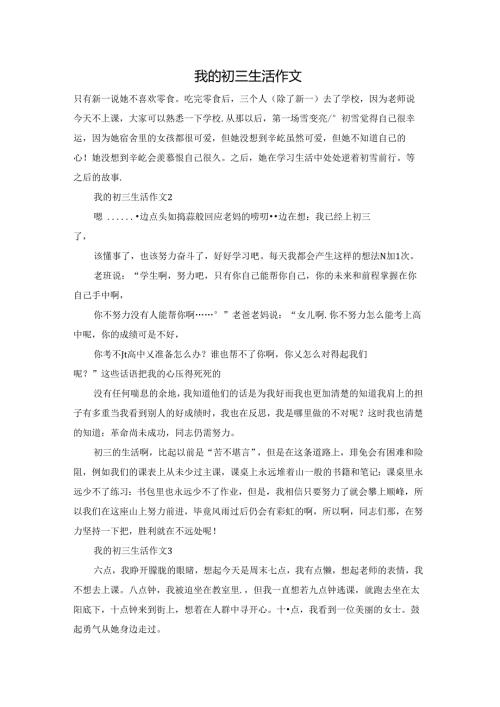 我的初三生活作文.docx