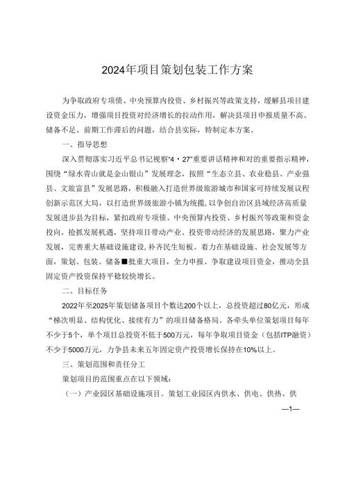 2024年项目策划包装工作方案.docx