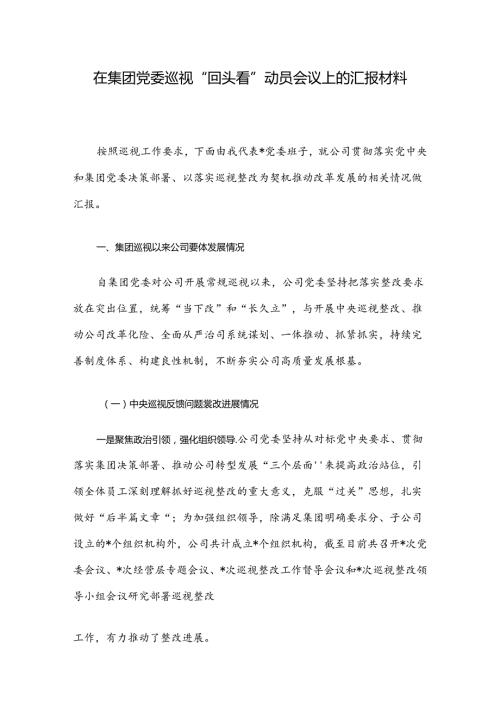 在集团党委巡视“回头看”动员会议上的汇报材料.docx