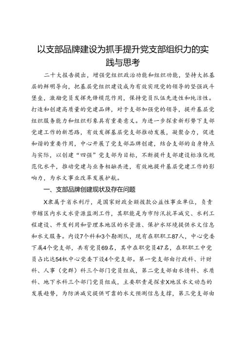 以支部品牌建设为抓手 提升党支部组织力的实践与思考.docx