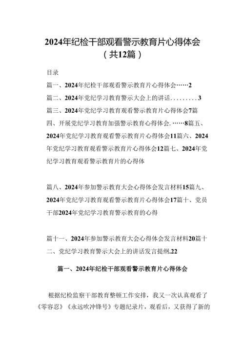 2024年纪检干部观看警示教育片心得体会12篇（详细版）.docx