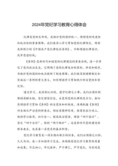 2024年党纪学习教育关于学习新版中国共产党纪律处分条例的心得体会交流发言十七篇.docx
