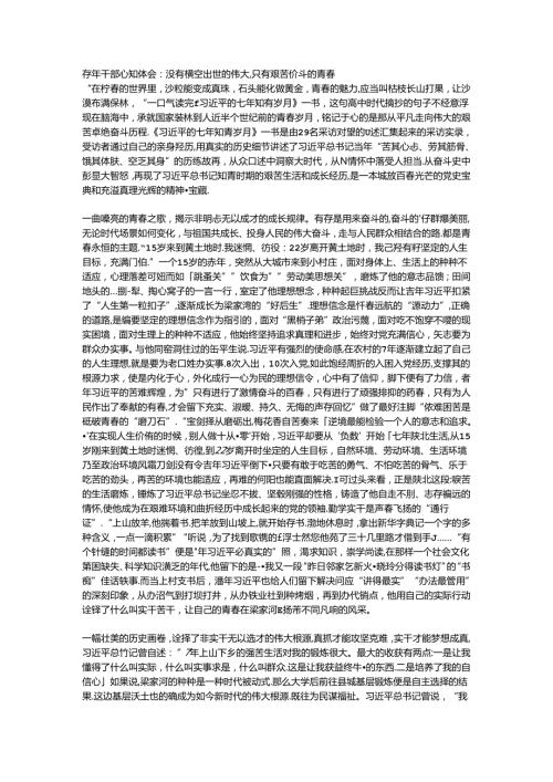 青年干部心得体会：没有横空出世的伟大只有艰苦奋斗的青.docx