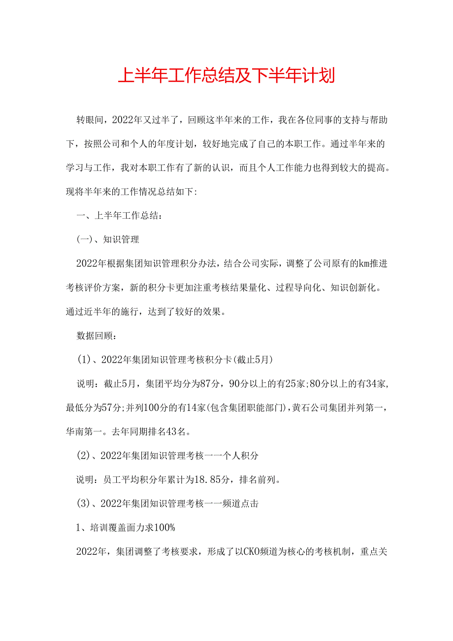 上半年工作总结及下半年计划.docx_第1页