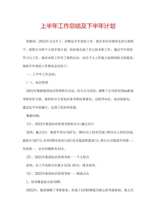 上半年工作总结及下半年计划.docx
