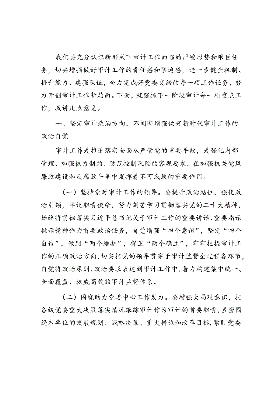 在审计工作会议上的讲话(2).docx_第3页