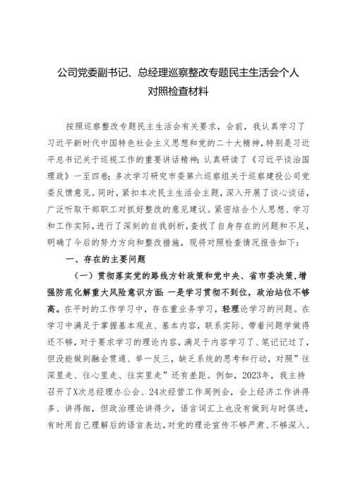2024年公司党委副书记、总经理巡察整改专题民主生活会个人对照检查材料.docx