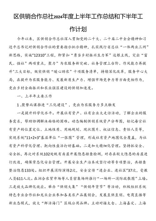 区供销合作总社2024上半年工作总结和下半年工作计划.docx