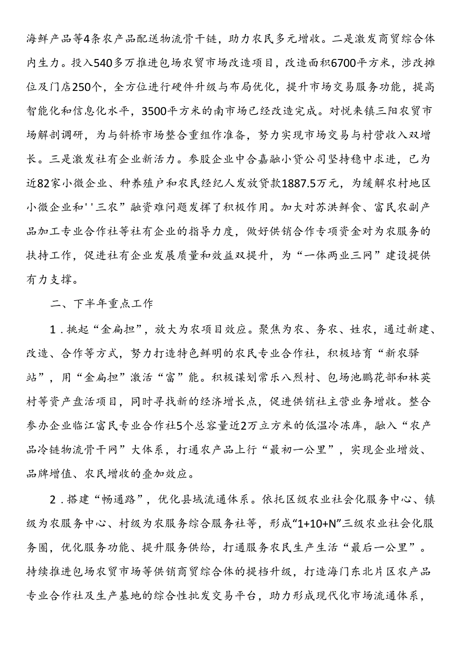 区供销合作总社2024上半年工作总结和下半年工作计划.docx_第3页