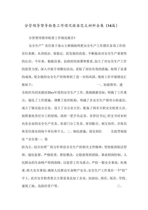 （14篇）分管领导督导检查工作情况报告范文材料合集.docx