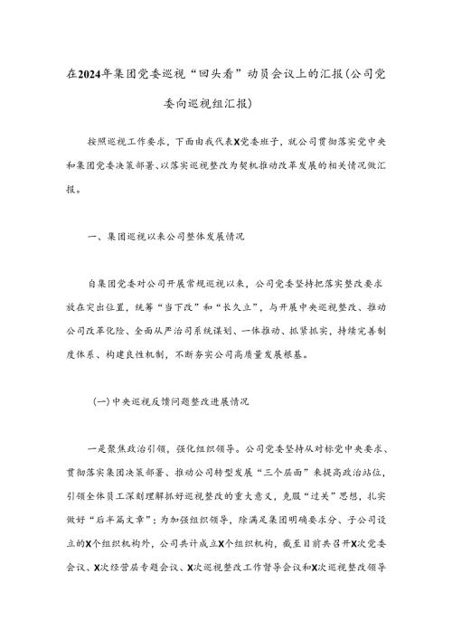 在2024年集团党委巡视“回头看”动员会议上的汇报（公司党委向巡视组汇报）.docx