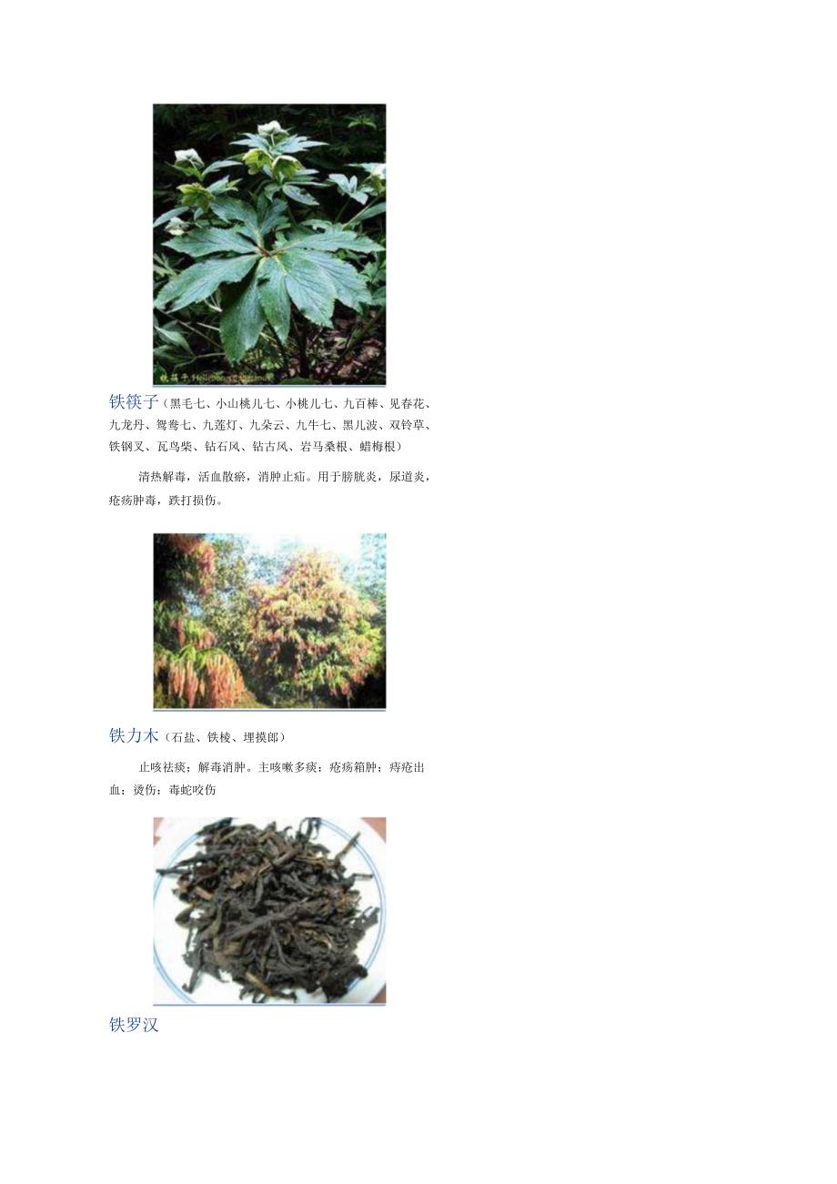3000种中医药材第22012300种.docx_第2页