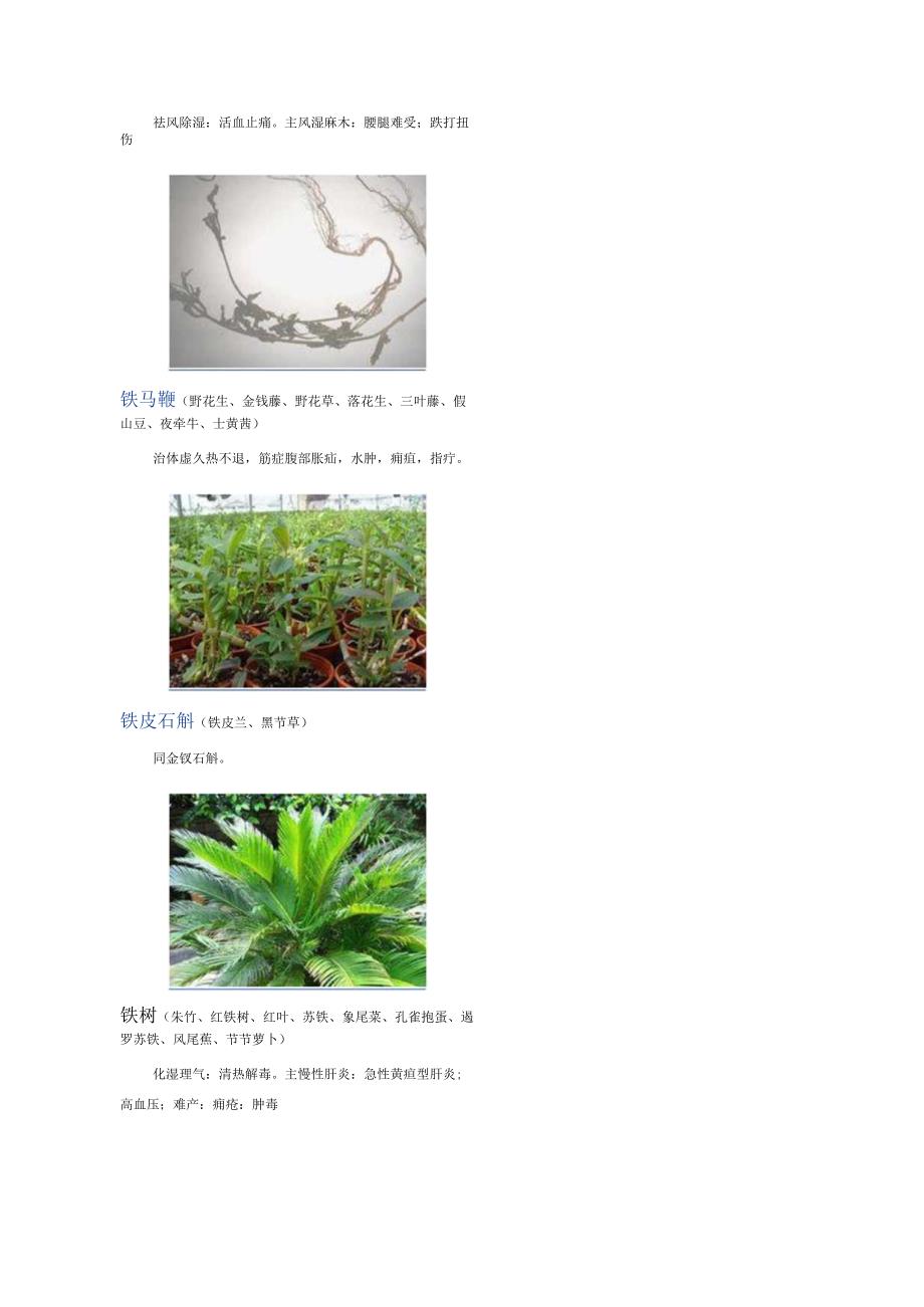 3000种中医药材第22012300种.docx_第3页