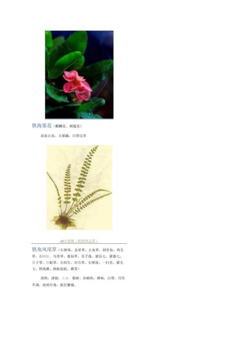 3000种中医药材第22012300种.docx
