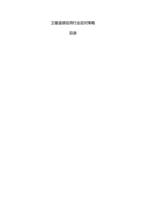 卫星遥感应用行业应对策略.docx