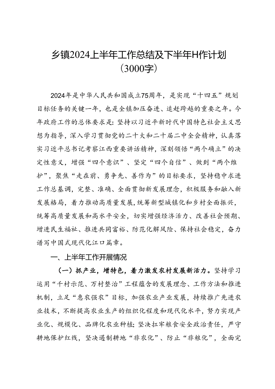 专项总结∣2024年∣半年总结：乡镇2024上半年工作总结及下半年工作计划（3000字）.docx_第1页