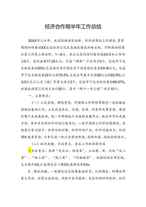 经济合作局半年总结.docx