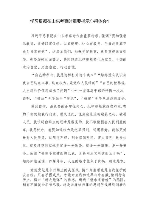 学习贯彻2024年5月在山东日照考察调研时重要指示精神心得体会研讨发言6篇.docx