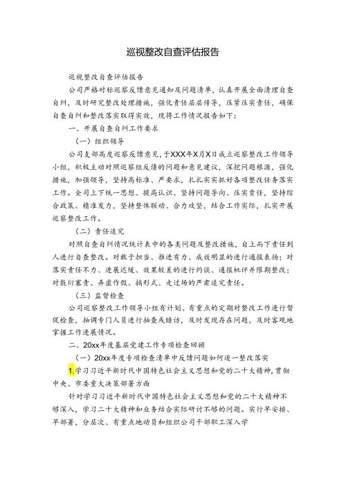 巡视整改自查评估报告.docx