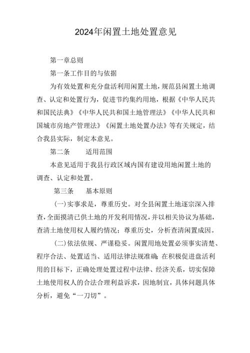 2024年闲置土地处置意见.docx
