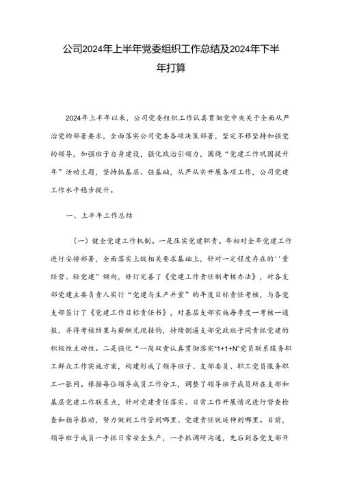 公司2024年上半年党委组织工作总结及2024年下半年打算.docx