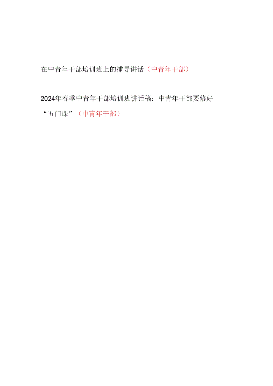 2024中青年干部党课讲稿辅导报告讲稿2篇.docx_第1页
