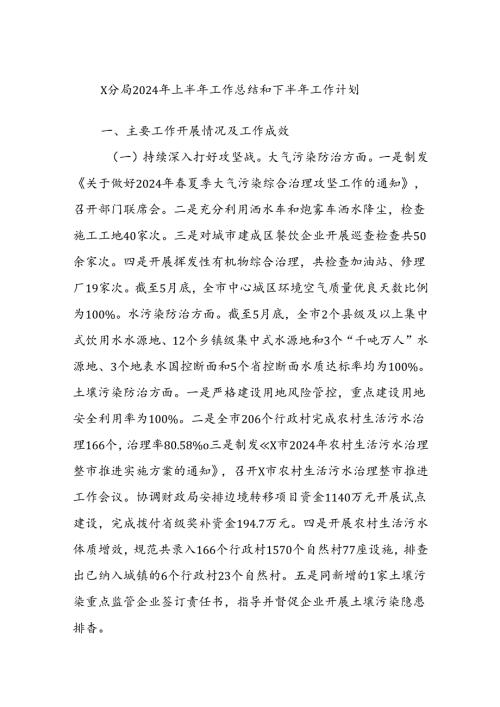X分局2024年上半年工作总结和下半年工作计划.docx