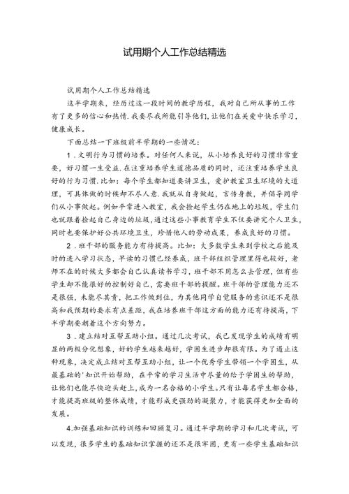 试用期个人工作总结精选.docx