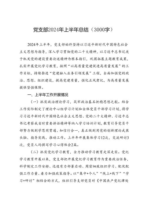 专项总结∣2024年∣半年总结：党支部2024年上半年总结（3000字）.docx