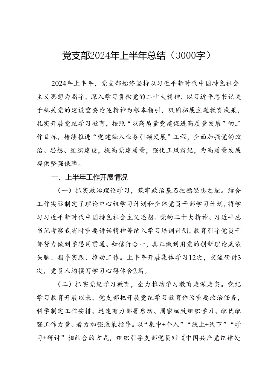 专项总结∣2024年∣半年总结：党支部2024年上半年总结（3000字）.docx_第1页