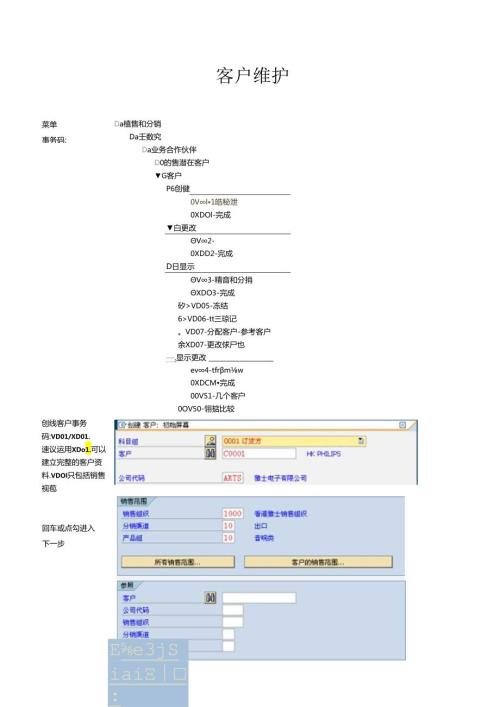 SAP客户主数据...docx