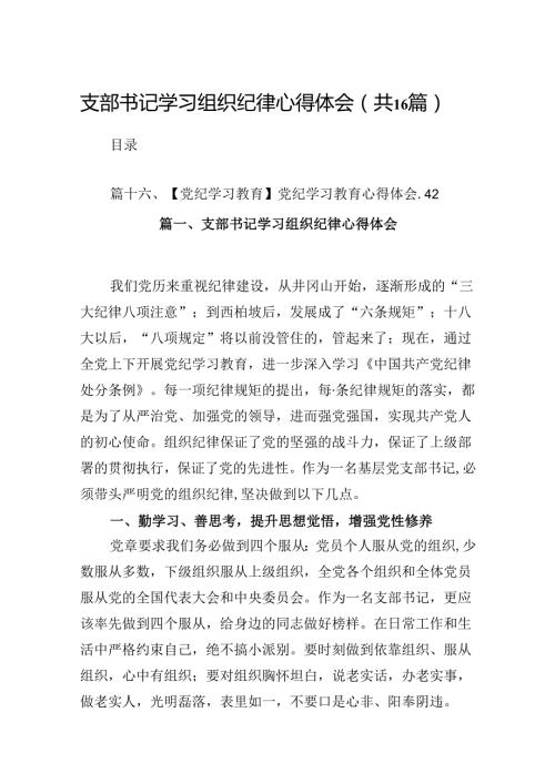 （16篇）支部书记学习组织纪律心得体会（详细版）.docx