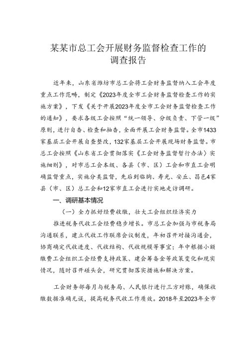 某某市总工会开展财务监督检查工作的调查报告.docx