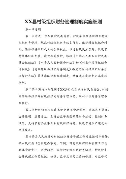 XX县村级组织财务管理制度实施细则.docx