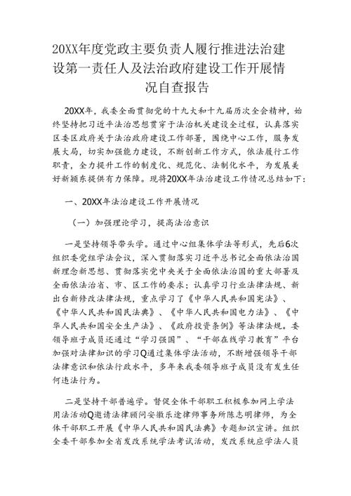 20XX党政主要负责人履行推进法治建设第一责任人及法治政府建设工作开展情况自查报告.docx