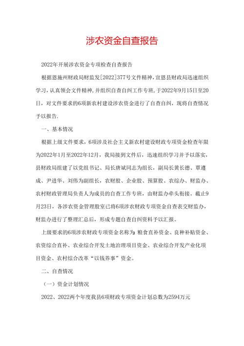 涉农资金自查报告.docx