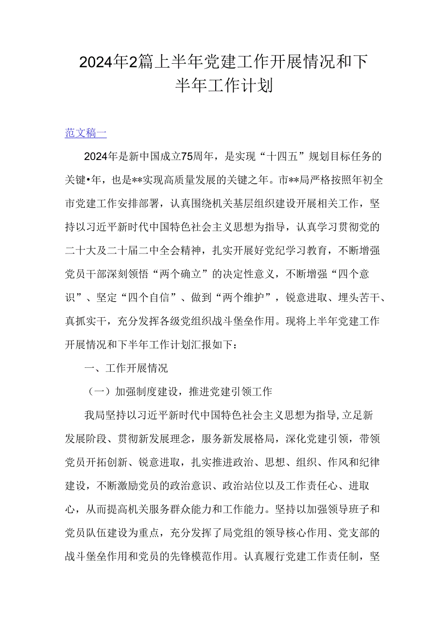 2024年2篇上半年党建工作开展情况和下半年工作计划.docx_第1页